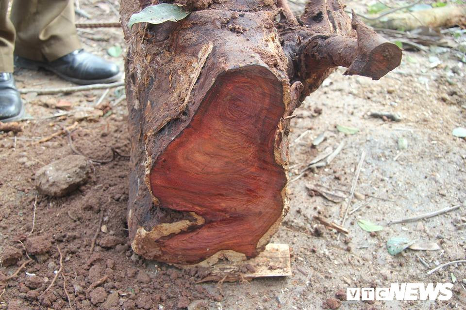 51102507_2057498554334034_7054491274102964224_n 9