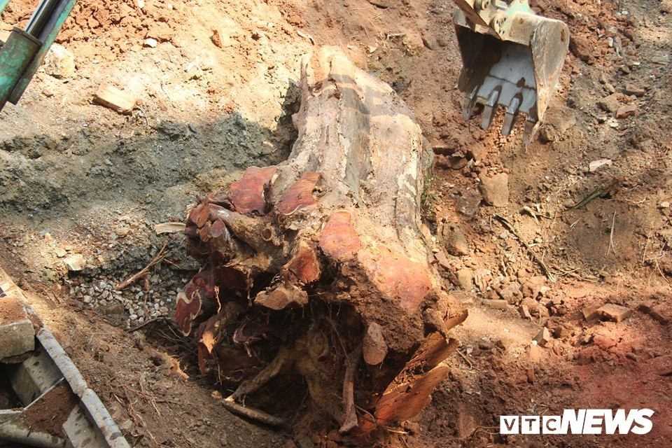 51436138_2280291838648383_1483103313124655104_n 4