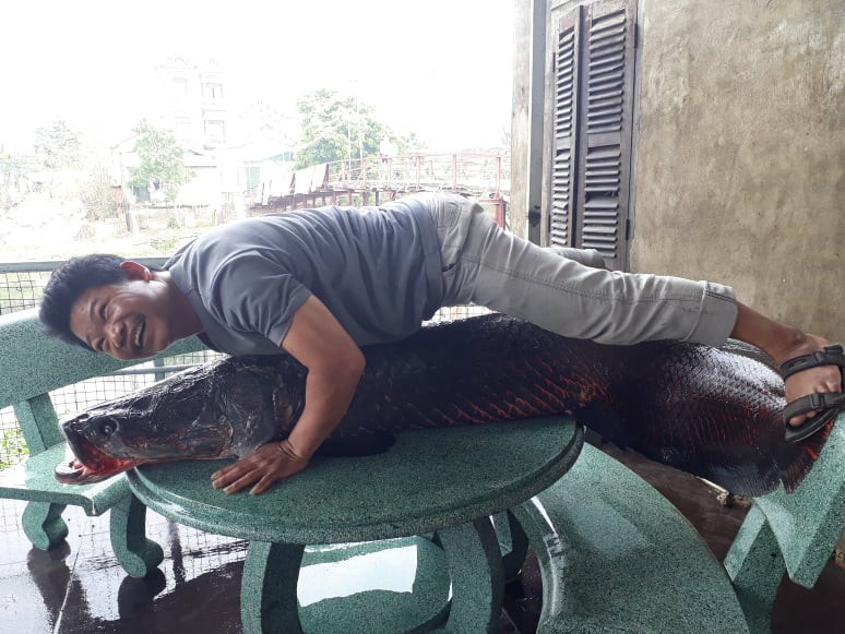 52977035_429304144474243_2094241047260430336_n