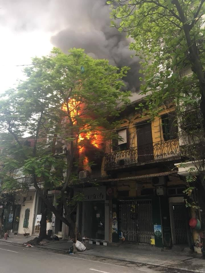 53258152_280095919591656_62512793726746624_n