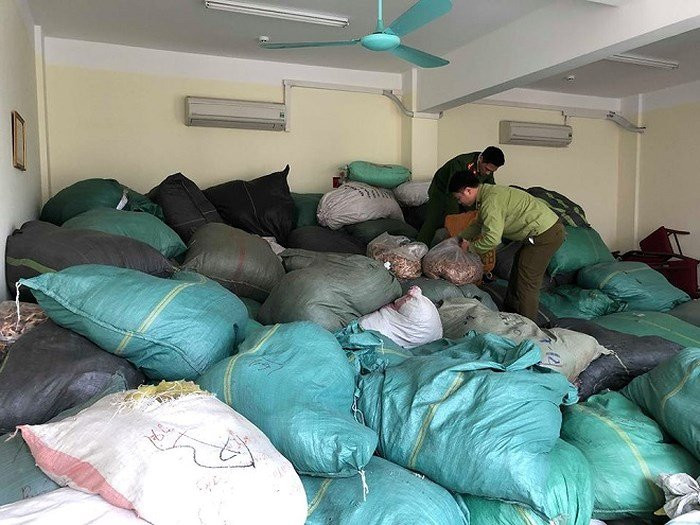 5545044422357936531433554079650045601775616n