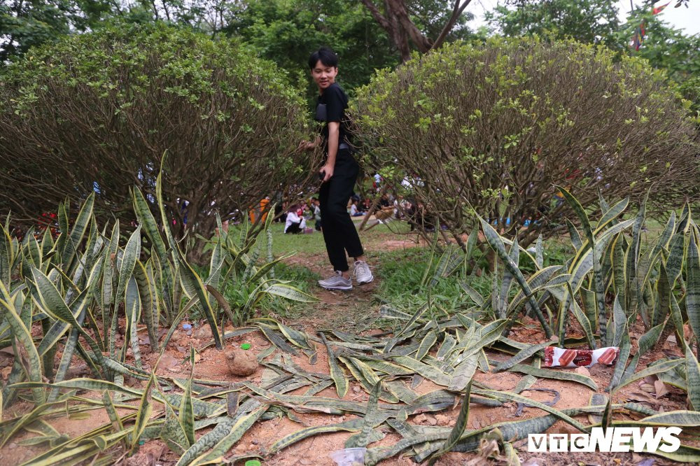 le-hoi-den-hung 09 5