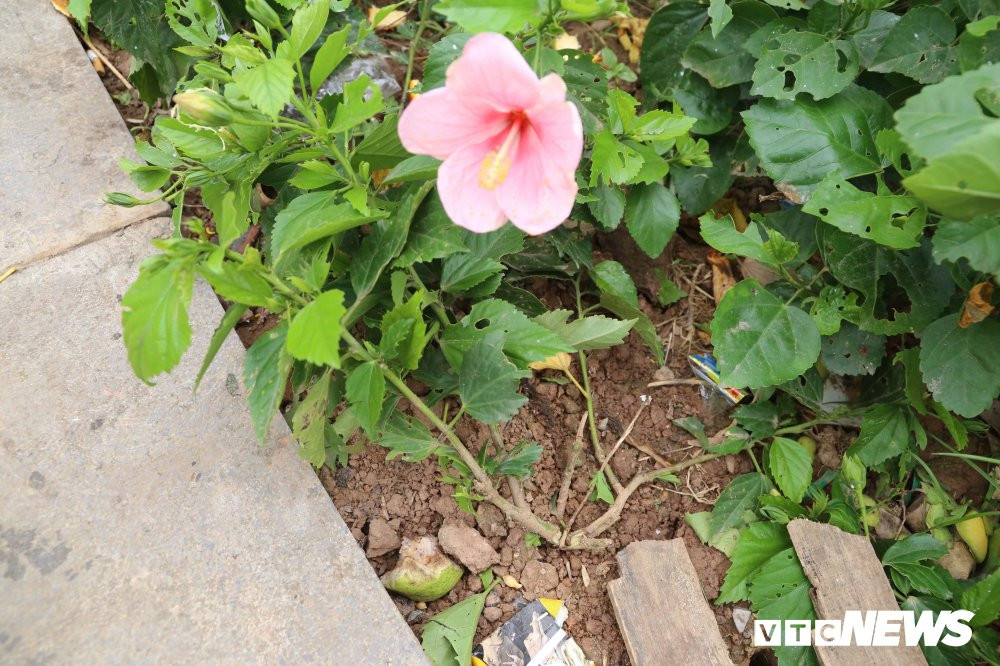 le-hoi-den-hung 15 10