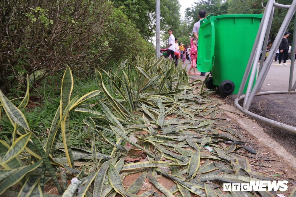 le-hoi-den-hung 18 8