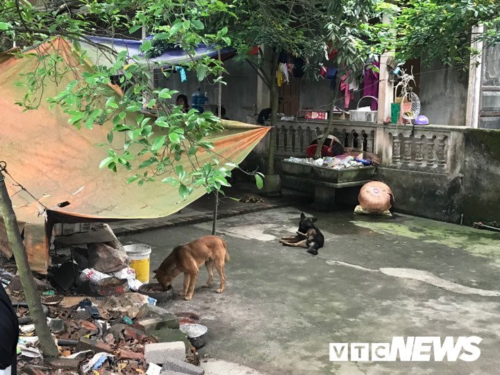 dan-cho-du-can-chet-be-trai-7-tuoi