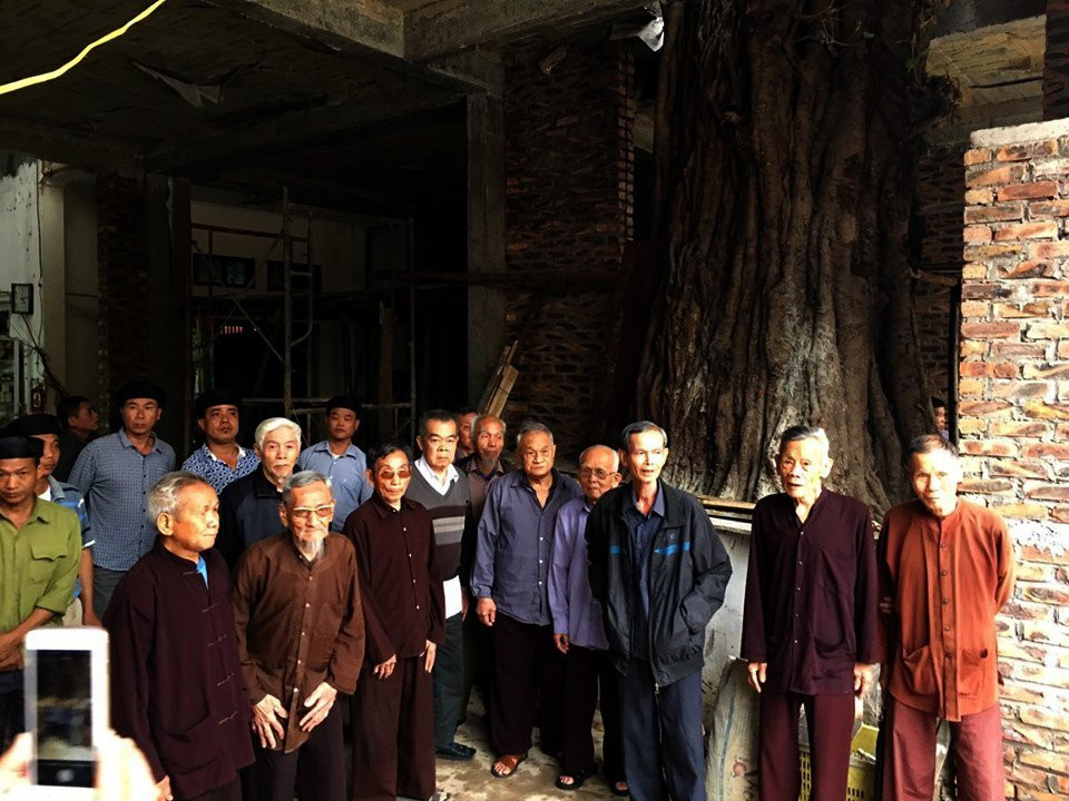 cay-de-co-thu-bi-lan-chiem-1412051