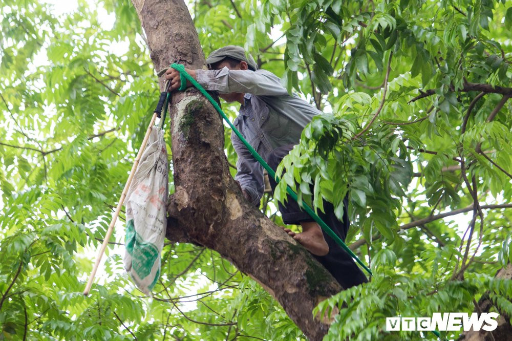 nguoi-nhen-but-sau-2 5