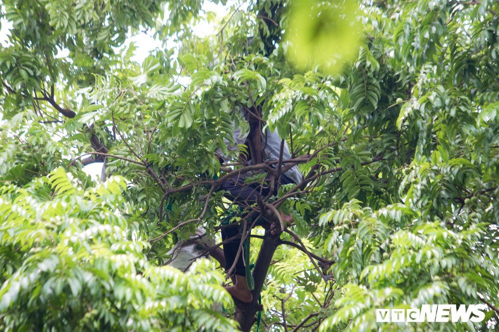 nguoi-nhen-but-sau-4 7