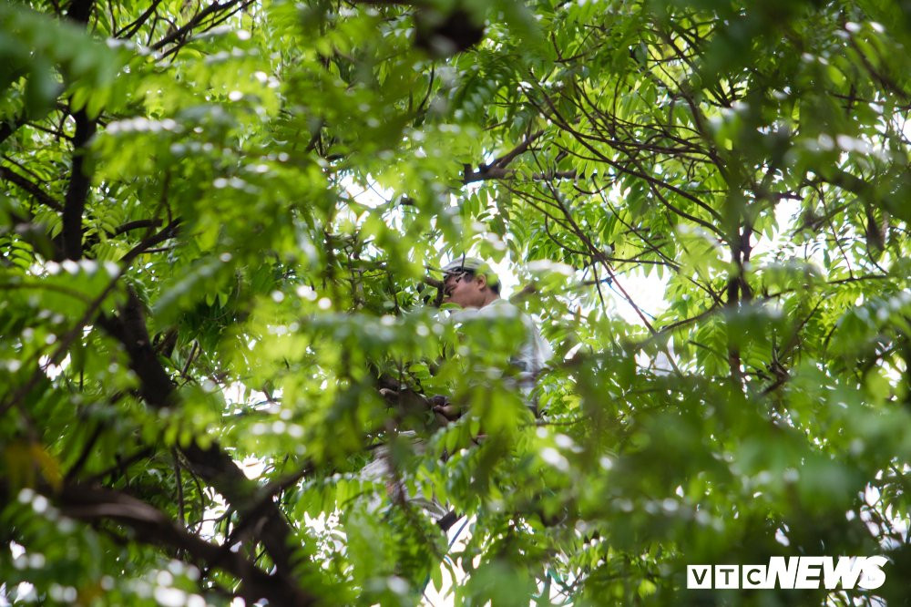 nguoi-nhen-but-sau-5 8