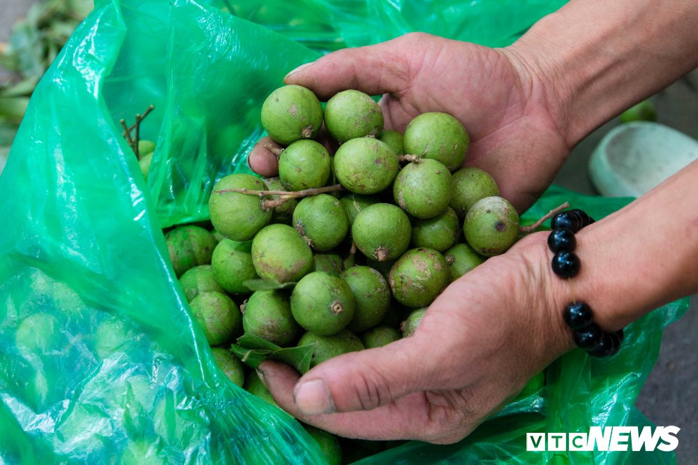 nguoi-nhen-but-sau-8 11