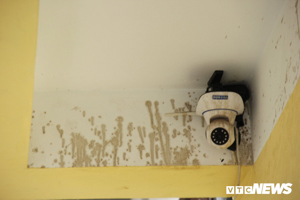 nem-chat-ban-vao-nha-dan-3 5