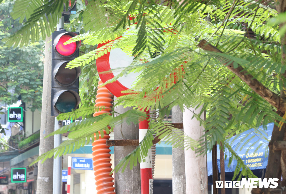 bien-bao-giao-thong-o-ha-noi-bi-che-khuat-12 4