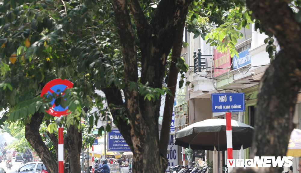 bien-bao-giao-thong-o-ha-noi-bi-che-khuat-17 9