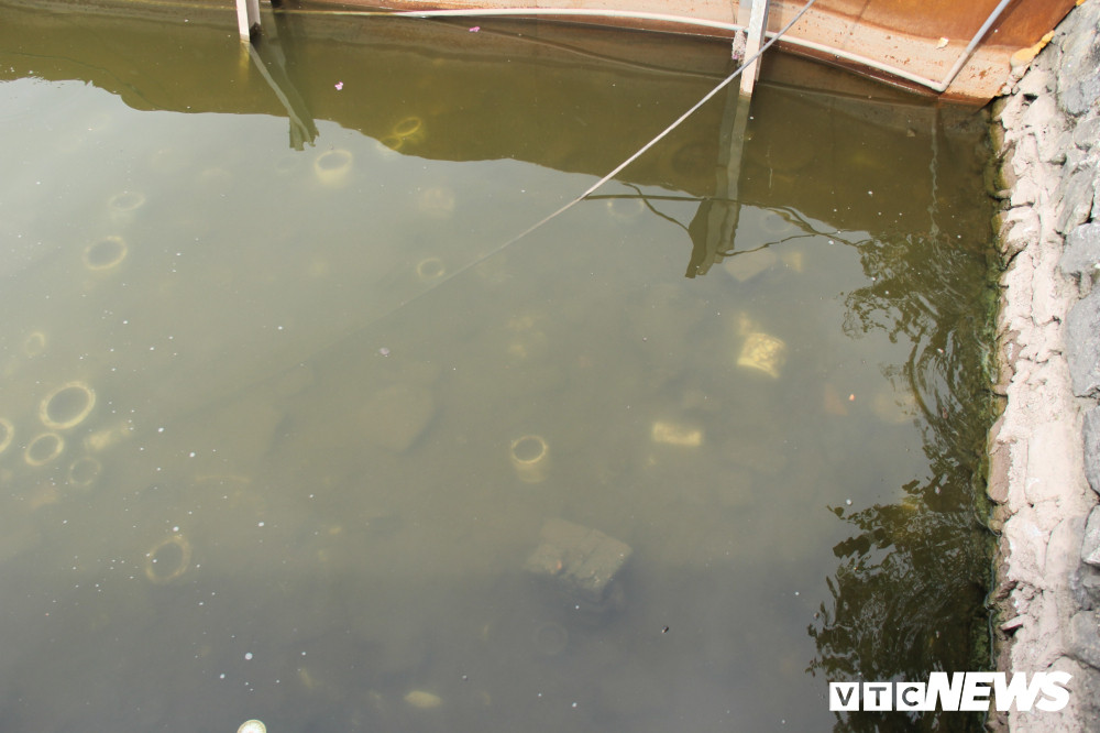 thi-diem-lam-sach-ho-tay-1 (2) 4