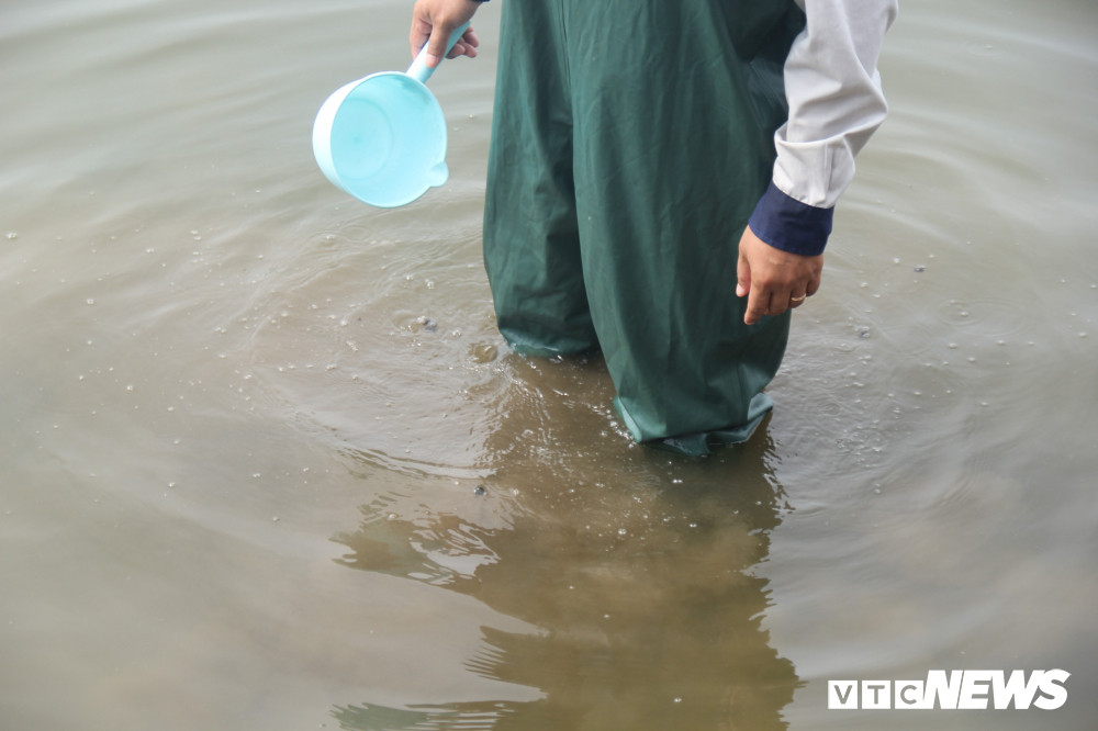 thi-diem-lam-sach-ho-tay-1 (6) 7