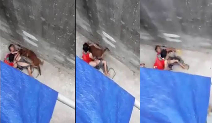 cho-du-can-ba-cu-nhap-vien