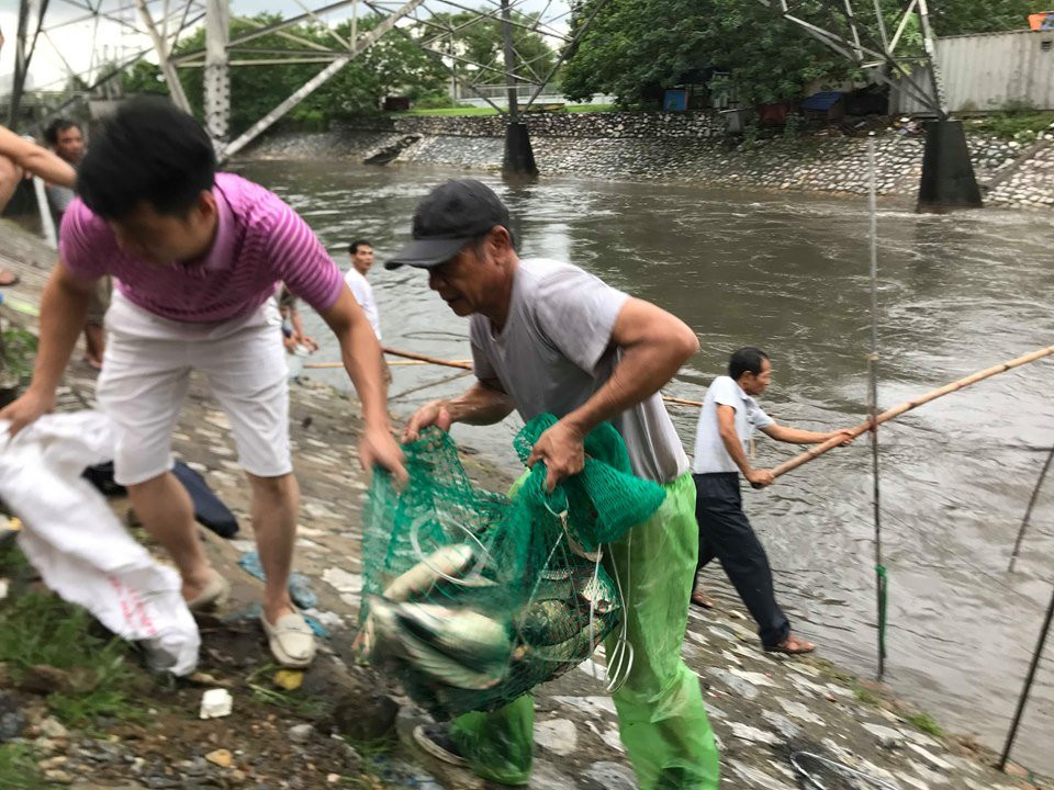 danh-bat-ca-song-to-lich-1-1 (7) 16