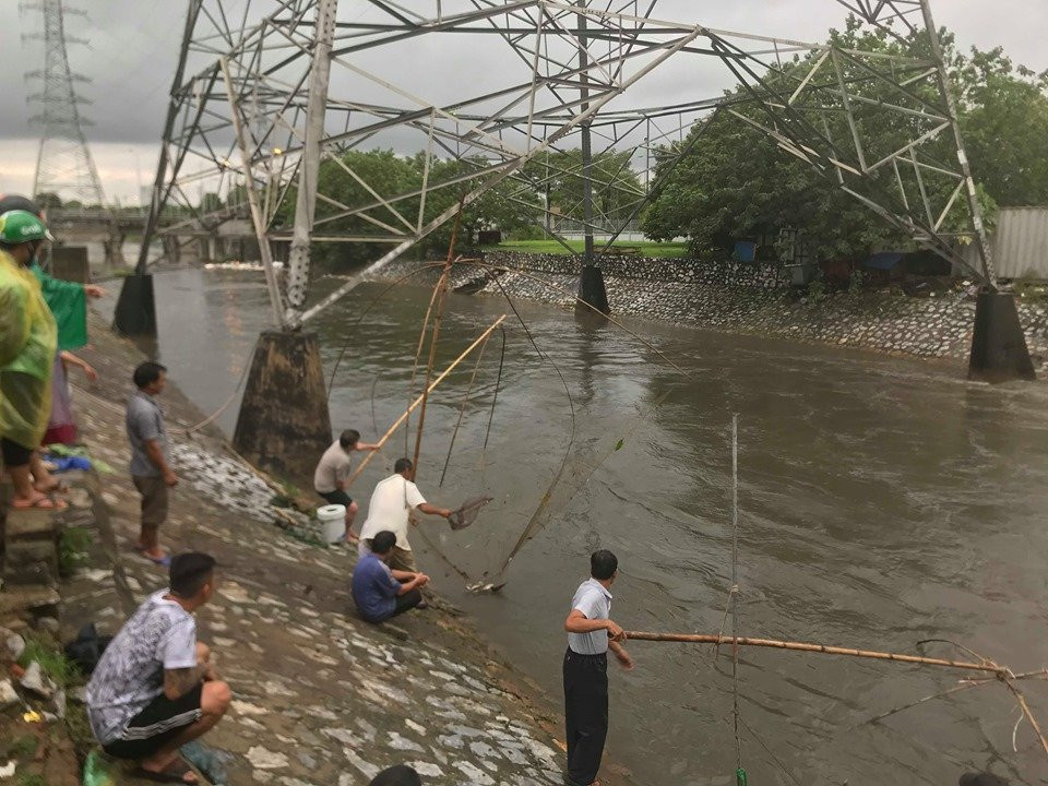 danh-bat-ca-song-to-lich-1-1 (9)