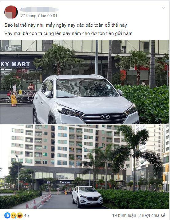 do-xe-sai-quy-dinh (2) 3