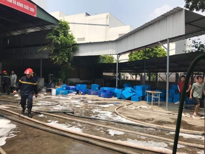 hoa-hoan-nha-xuong-1-1- (3) 3