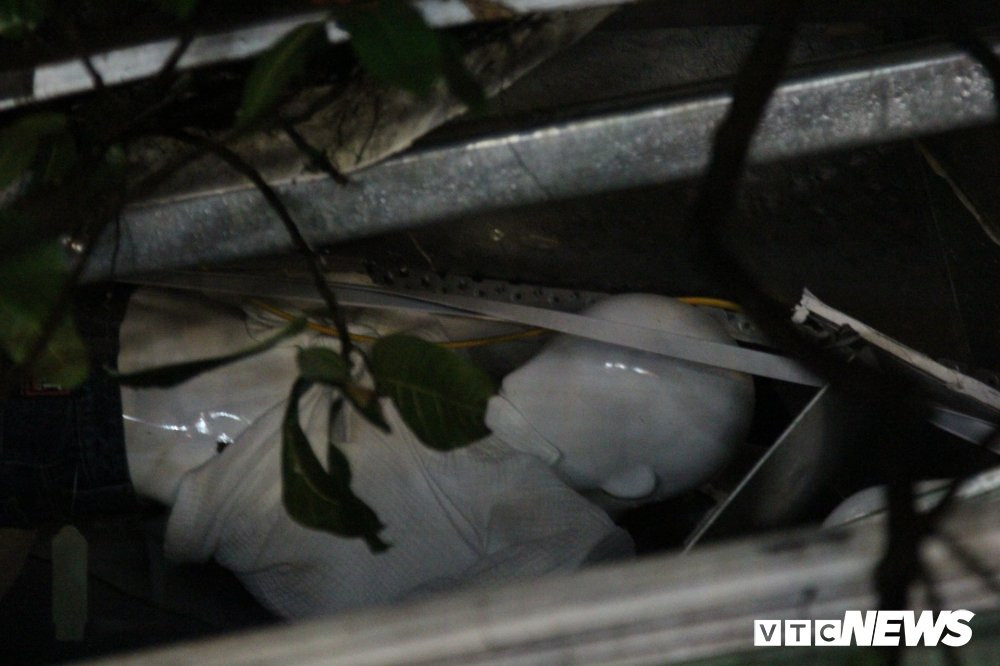 cay-do-pham-ngoc-thach-2-2 (10) 7