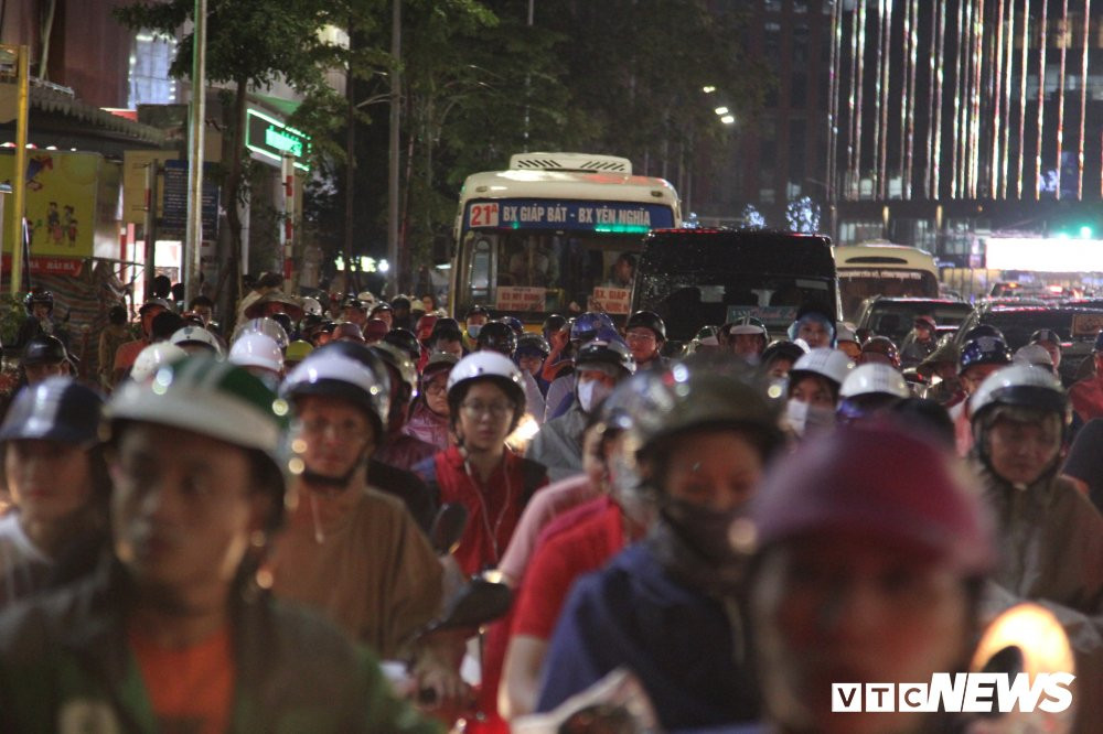 cay-do-pham-ngoc-thach-2-2 (11)