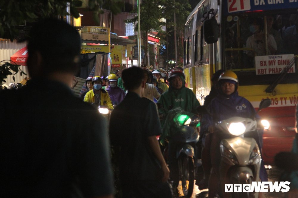 cay-do-pham-ngoc-thach-2-2 (12) 10