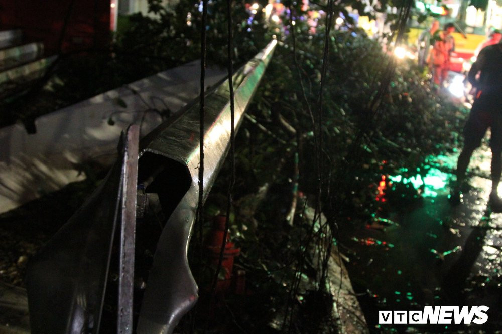 cay-do-pham-ngoc-thach-2-2 (9) 8