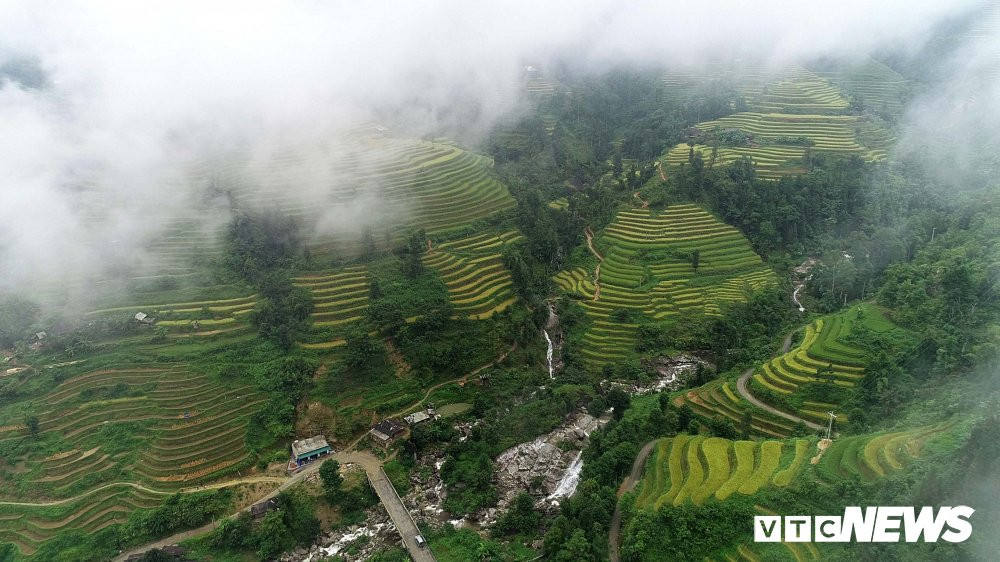 ruong-bac-thang-1-1-1-1 (1)