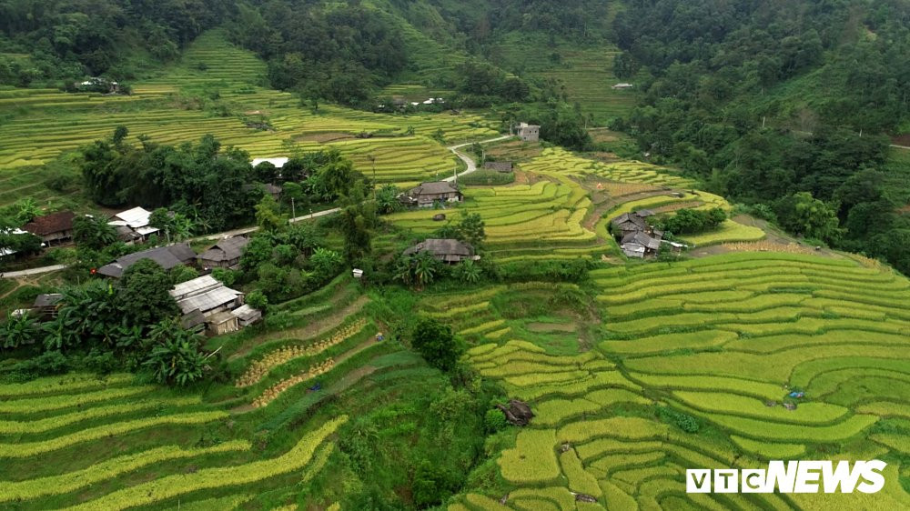 ruong-bac-thang-1-1-1-1 (2) 4