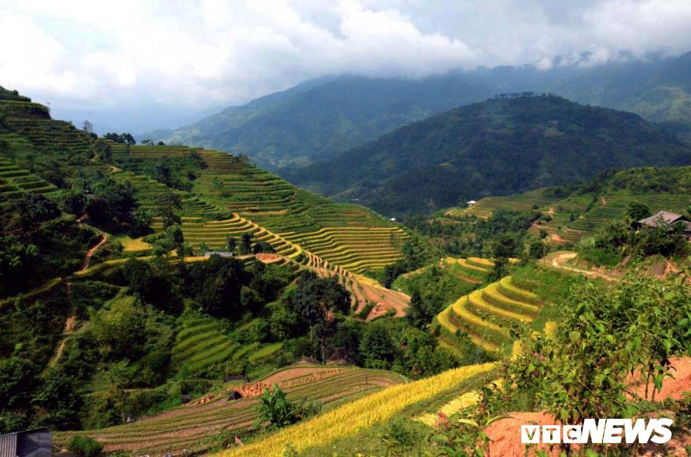 ruong-bac-thang-1-1-1-1 (5) 12