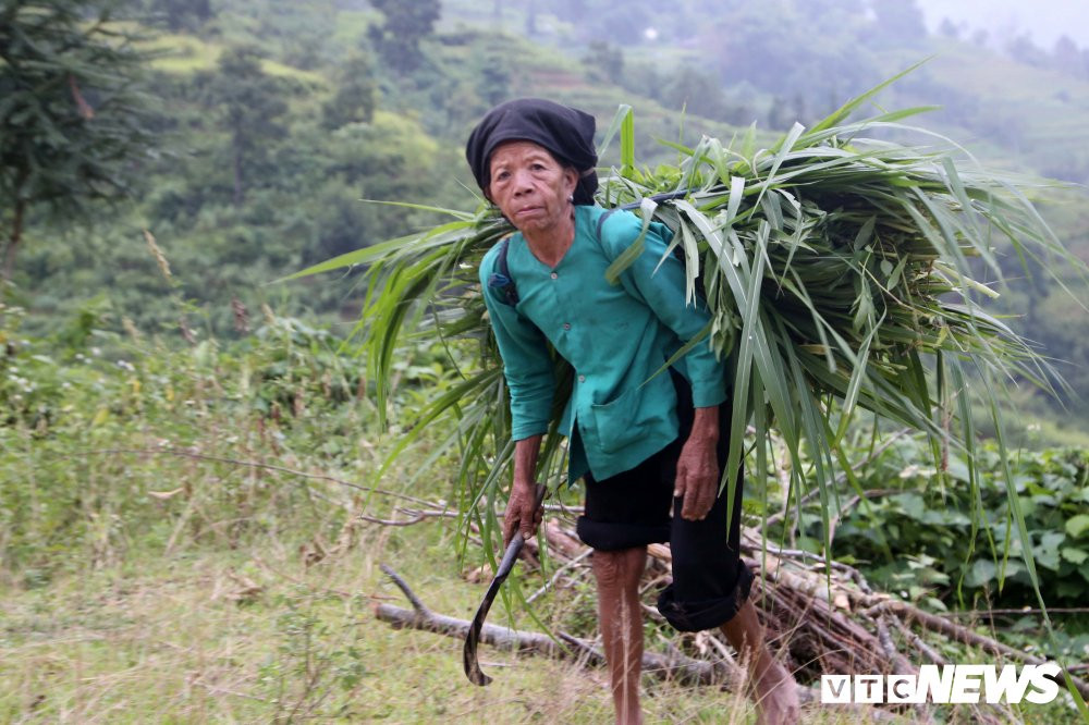 ruong-bac-thang-1-1-1-1 (9) 10