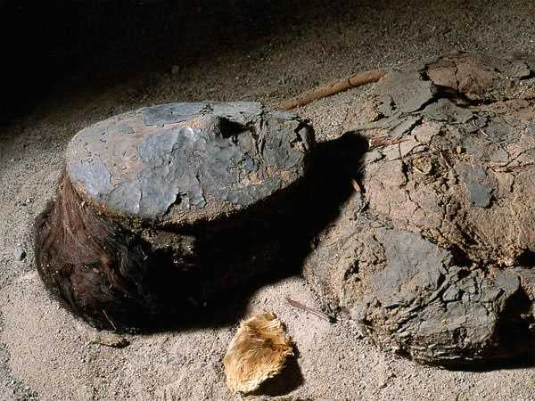 Mummies4