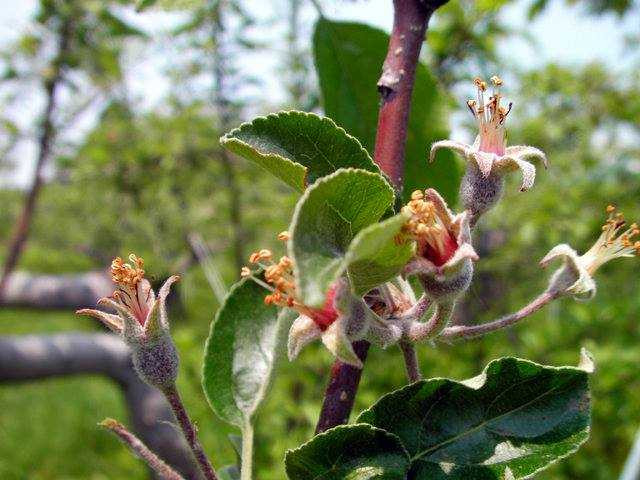 147261380028562-14182197_359381504407458_848382147_n