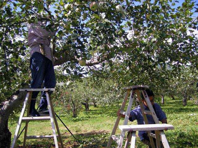 147261380031303-14169709_359381467740795_1360770384_n