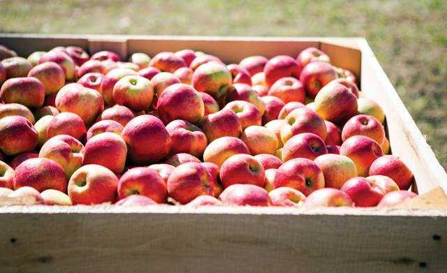 147261380032054-14169580_359381521074123_1291992692_n