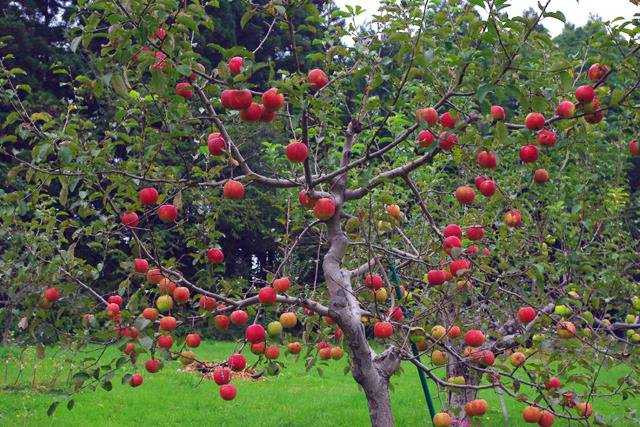 147261380056298-14159946_359381441074131_854801804_n