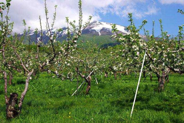 147261383832270-14193773_359381491074126_1590027422_n