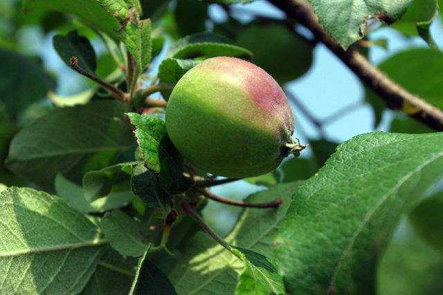 147261383868980-14182542_359381514407457_713336064_n