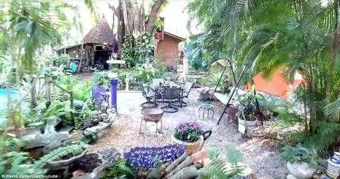 nguoi-phu-nu-25-nam-song-tren-cay-6182738720160908143928.3809020