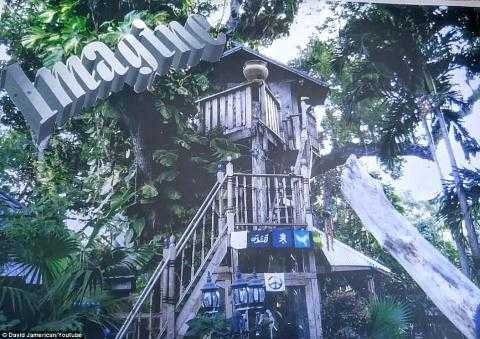 nguoi-phu-nu-25-nam-song-tren-cay-6184593020160908143929.3091250