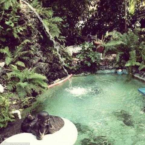 nguoi-phu-nu-25-nam-song-tren-cay-619971520160908143938.0380040