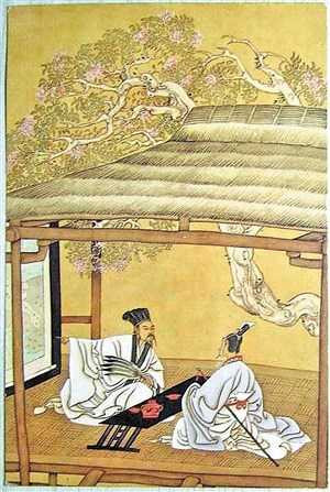 he-lo-mau-thuan-dong-troi-giua-luu-bi-va-gia-cat-luong-hinh-10