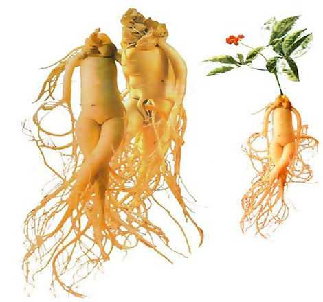 ec839511-0c4e-48fe-b4fd-7bc999c34cda