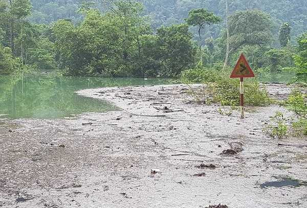 14718847_1311952802182339_8775328058217757899_n