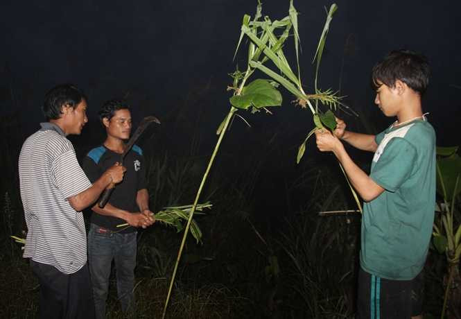 13-27-36_cung-g-den-4