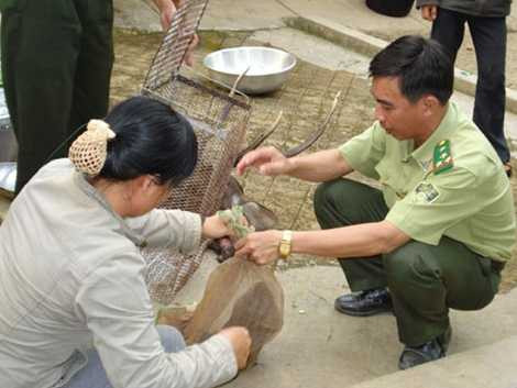 thumb_660_30_kiem1562