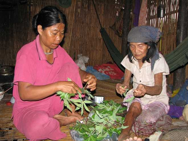 00832fbb-d6bc-4b23-a0ed-1b6108c5f555