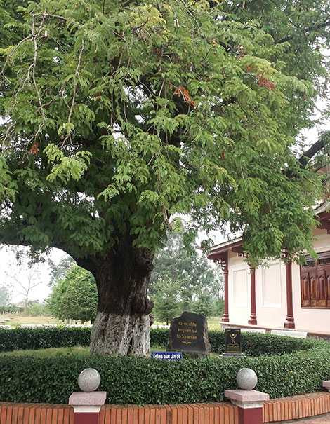 photo-1-1478830744829