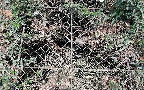 photo-2-1478830744829